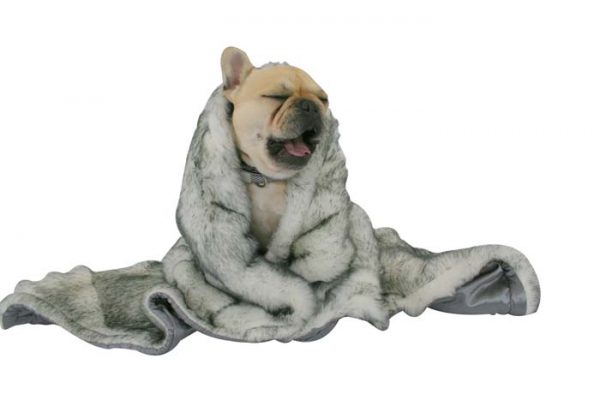 Lux Fur Pet Blanket